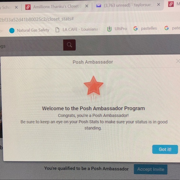 MEET YOUR POSH AMBASSADOR!! - Picture 7 of 7